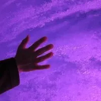 L'écriture du scénario à l'aune du DVD