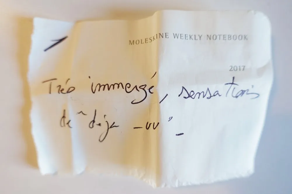 Université Montpellier 3 : « Je ne le savais pas, mais je suis ma caméra » - 5 © Benoît Labourdette 2017.