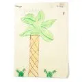 Palm