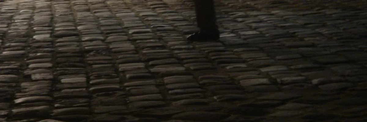 A leg