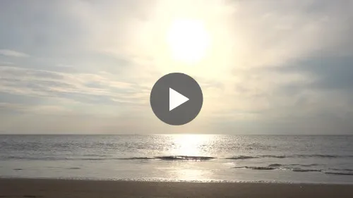 Waves on the beach