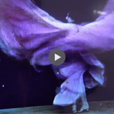 Danseuse : Loïe Fuller