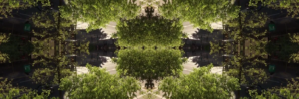 Cultivating digital sovereignty