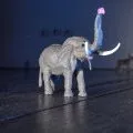 Eléphant
