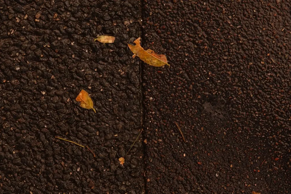 Revolution of the constellation - 26 © Benoît Labourdette 2021.