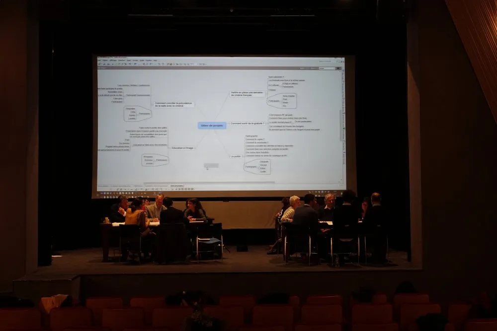 Institut Français: Innovating in cultural policies for cinema and the relationship with the public, in the light of digital practices - 2 © Benoît Labourdette 2018.