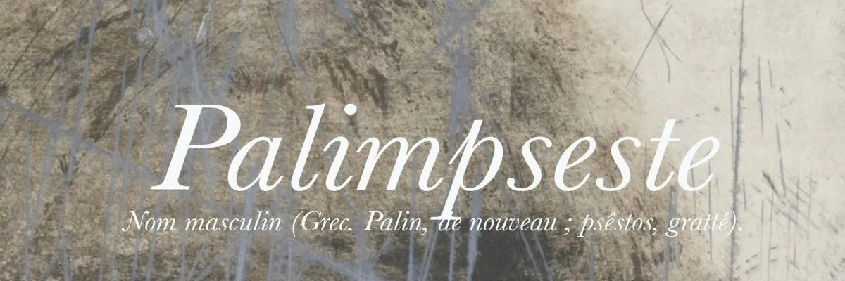 ESAV Toulouse : Exposition du colloque Palimpseste
