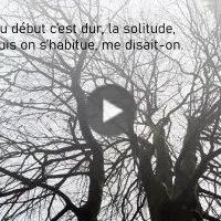 Des arbres, une femme