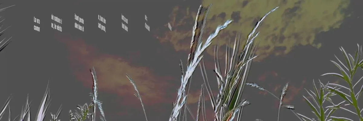 The true nature (thought 426)