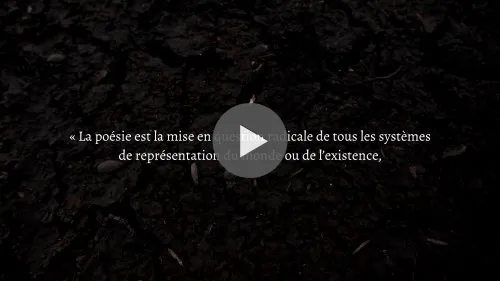 Qu'est-ce que la poésie ?