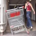 Shopping cart