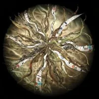 Analyse critique du traitement journalistique d'un sujet de santé publique