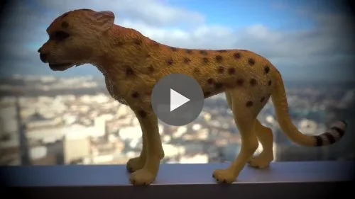 Animaux à la fenêtre, la colline de lumière
