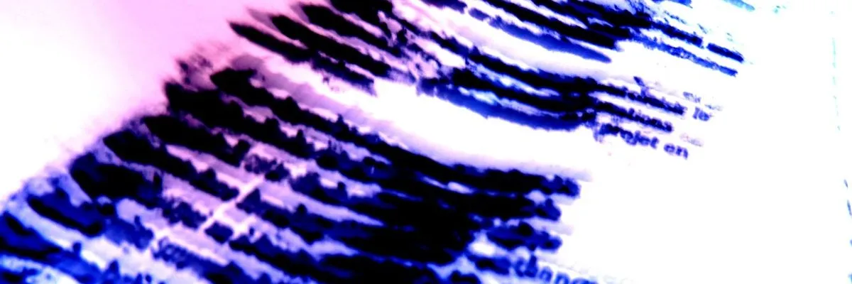 Chromosome words