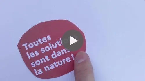 All solutions are in nature