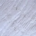 Trace