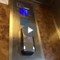 Bicycle in the elevator