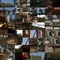 Macroscopic