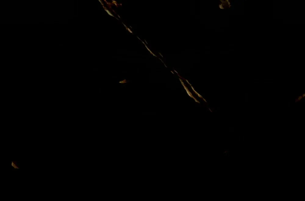The scars of the earth - 39 © Benoît Labourdette 2021.