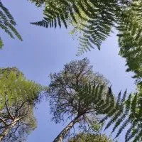 L'importance de la nature dans un scénario