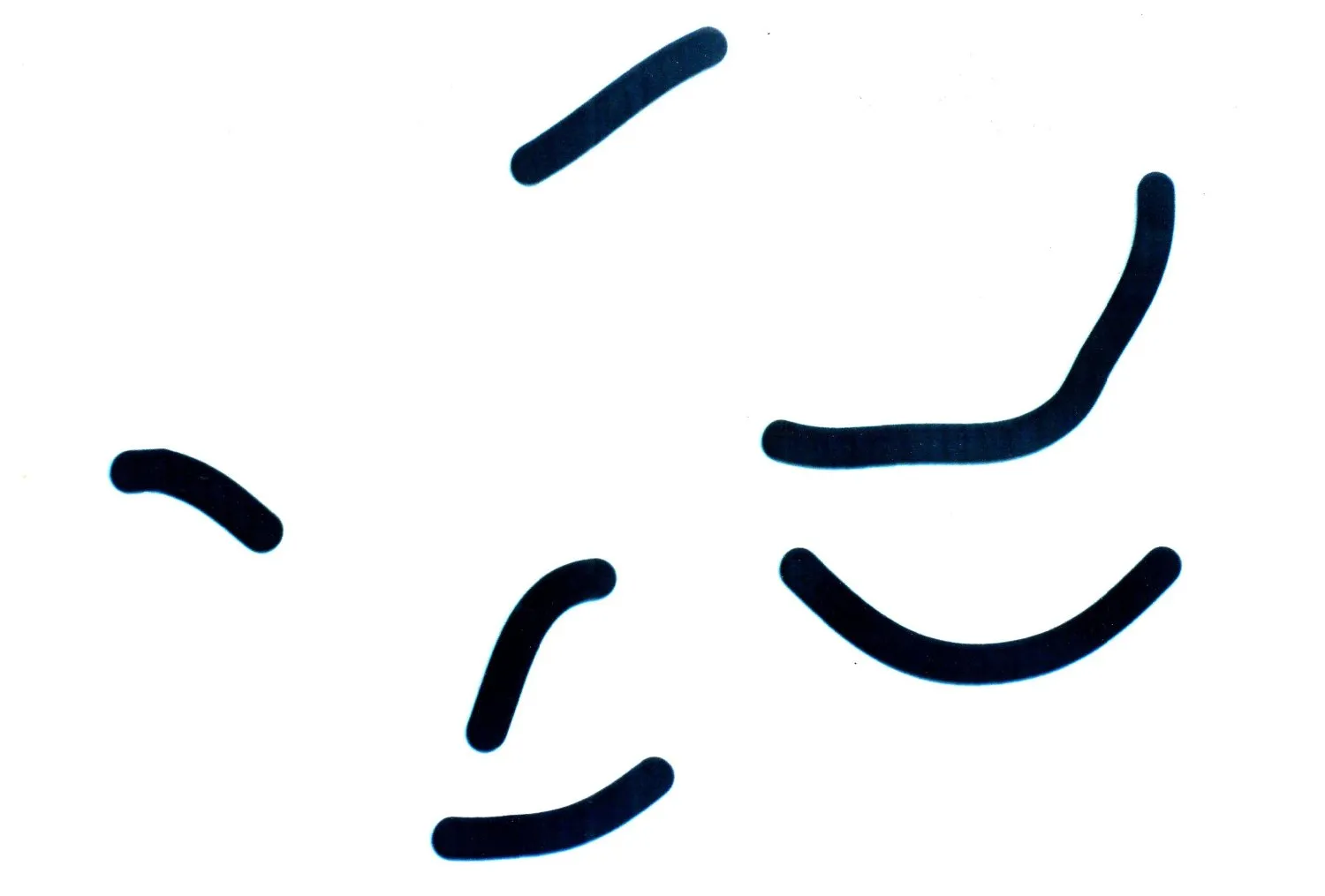 Line © Benoît Labourdette.