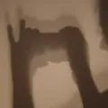 Reality