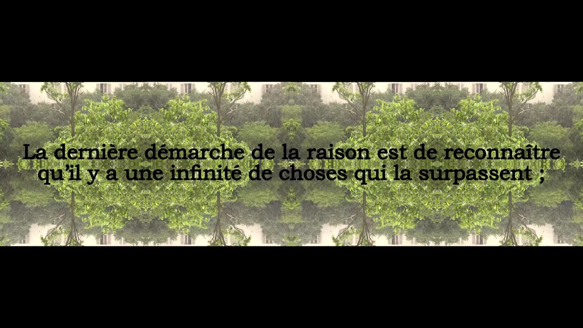 La raison (pensée 267)