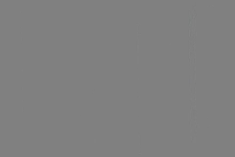 Surface gravée - 41 © Benoît Labourdette 2023.