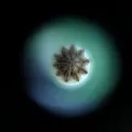 Microscopique