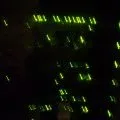 Green Green