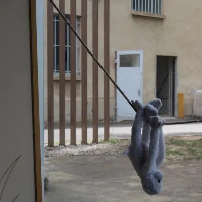 Le lien qui émancipe