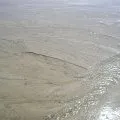 Sable