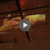 Projection sur femme enceinte