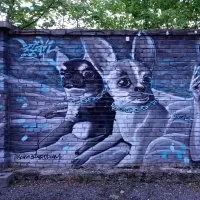 Chien © Benoît Labourdette.