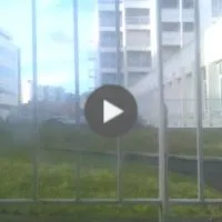 My home window