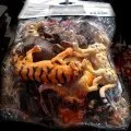 Animaux en plastique