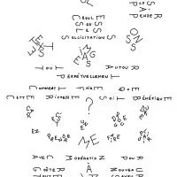 Whacked