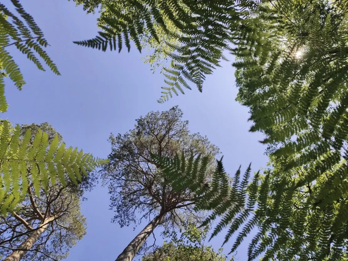 The importance of nature in a scenario. © Benoît Labourdette.