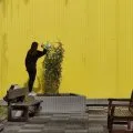 Performance