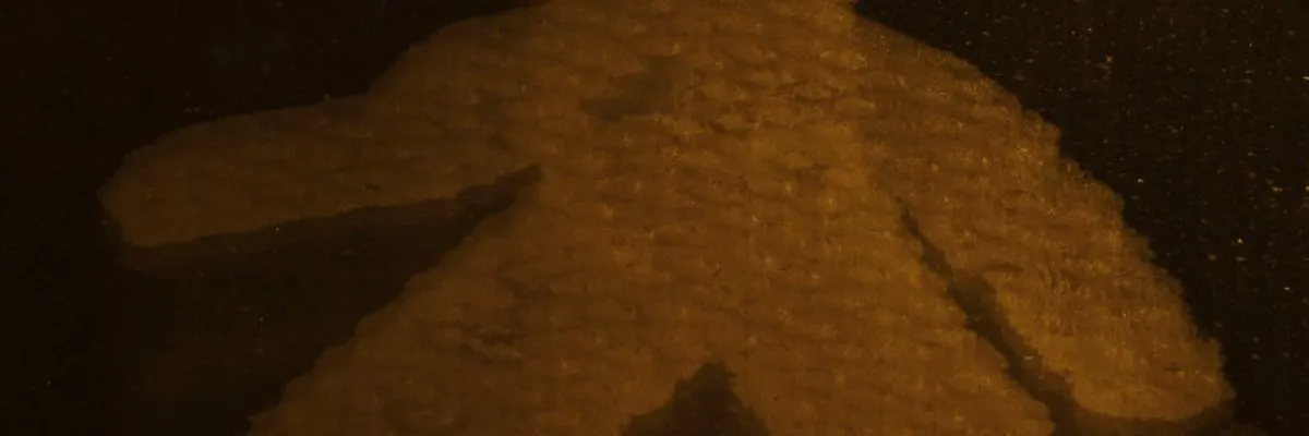 H (2025)