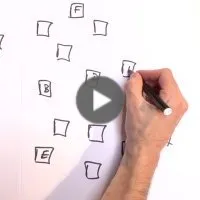 Diversité