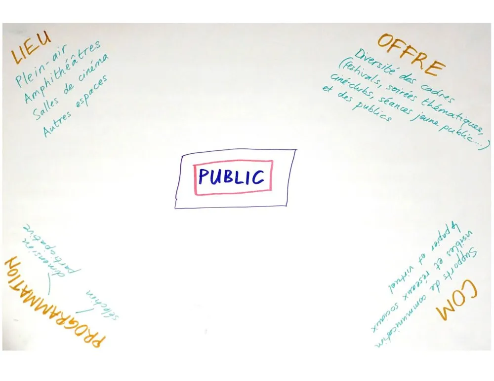 Institut Français: Innovating in cultural policies for cinema and the relationship with the public, in the light of digital practices - 14 © Benoît Labourdette 2018.