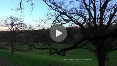 Simplement un arbre