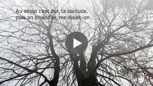 Des arbres, une femme