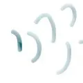 Haïku