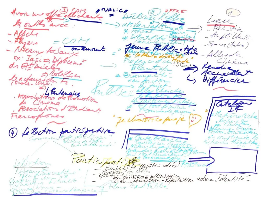 Institut Français: Innovating in cultural policies for cinema and the relationship with the public, in the light of digital practices - 13 © Benoît Labourdette 2018.