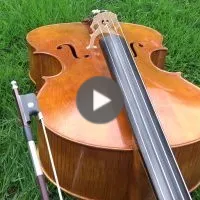 Melting potes