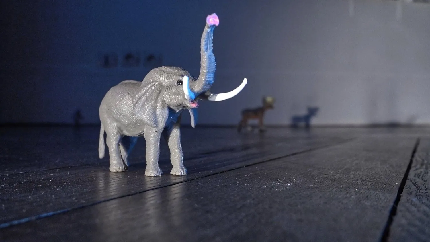 Elephant © Benoît Labourdette.