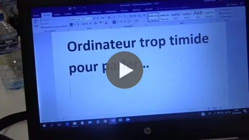 Objets en délire