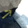 Flèche